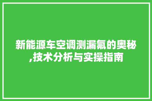 新能源车空调测漏氟的奥秘,技术分析与实操指南