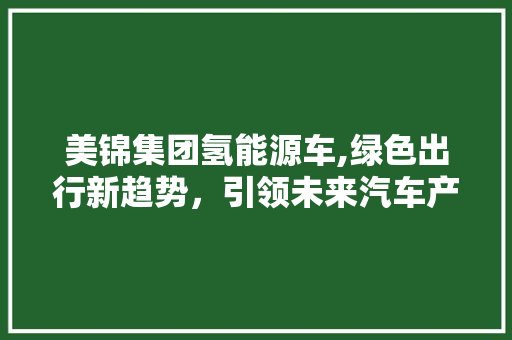 美锦集团氢能源车,绿色出行新趋势，引领未来汽车产业变革