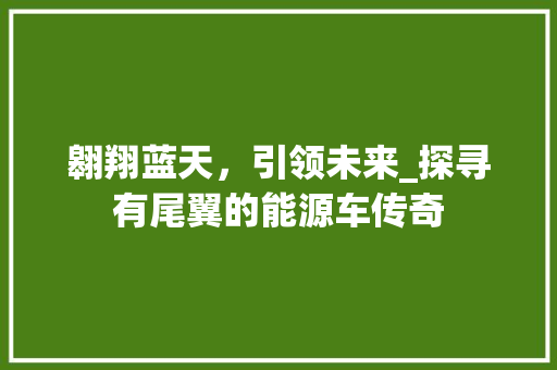翱翔蓝天，引领未来_探寻有尾翼的能源车传奇