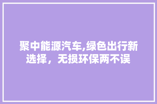 聚中能源汽车,绿色出行新选择，无损环保两不误