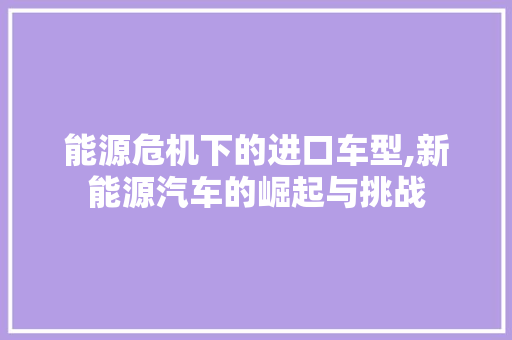 能源危机下的进口车型,新能源汽车的崛起与挑战