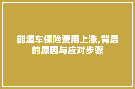 能源车保险费用上涨,背后的原因与应对步骤