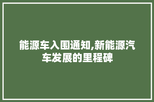 能源车入围通知,新能源汽车发展的里程碑