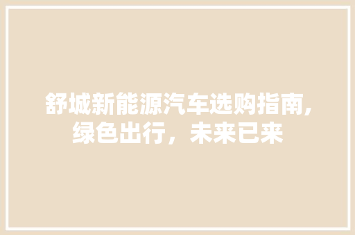 舒城新能源汽车选购指南,绿色出行，未来已来