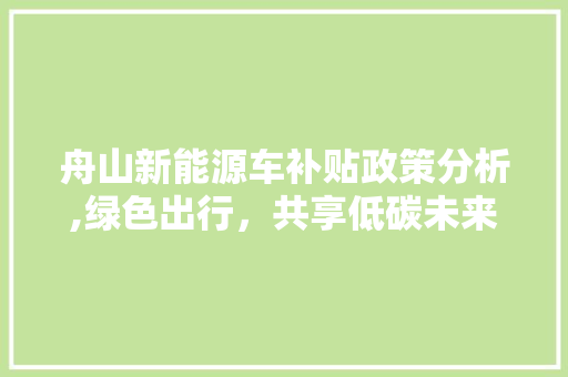舟山新能源车补贴政策分析,绿色出行，共享低碳未来