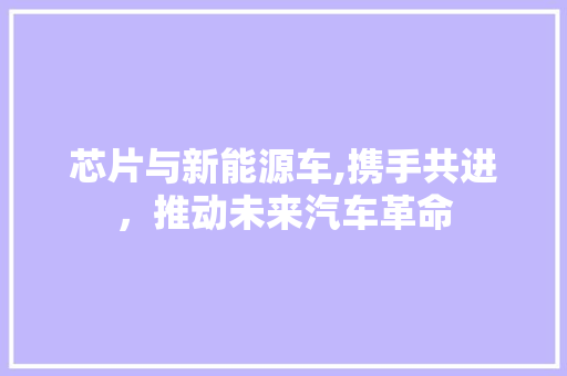 芯片与新能源车,携手共进，推动未来汽车革命