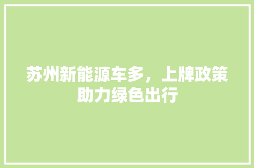 苏州新能源车多，上牌政策助力绿色出行 蓄电池配件