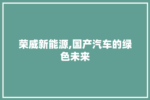 荣威新能源,国产汽车的绿色未来
