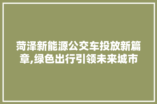 菏泽新能源公交车投放新篇章,绿色出行引领未来城市交通潮流
