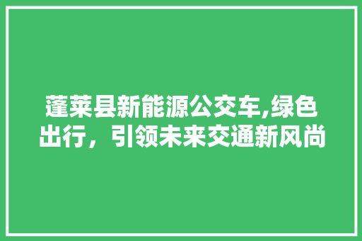 蓬莱县新能源公交车,绿色出行，引领未来交通新风尚