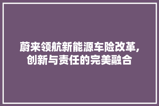 蔚来领航新能源车险改革,创新与责任的完美融合 变速箱配件