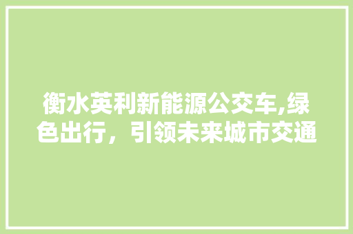 衡水英利新能源公交车,绿色出行，引领未来城市交通潮流 车身配件