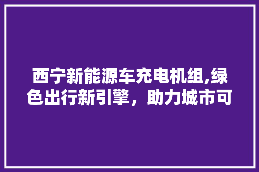 西宁新能源车充电机组,绿色出行新引擎，助力城市可持续发展