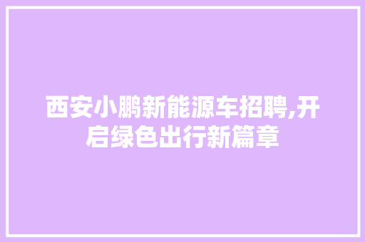 西安小鹏新能源车招聘,开启绿色出行新篇章