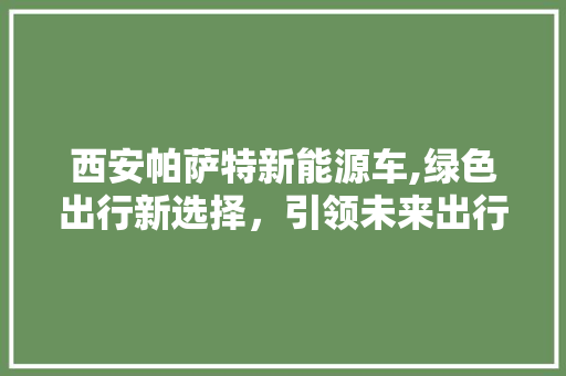 西安帕萨特新能源车,绿色出行新选择，引领未来出行潮流