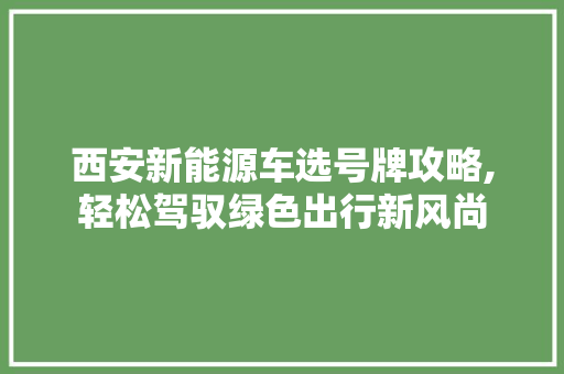 西安新能源车选号牌攻略,轻松驾驭绿色出行新风尚