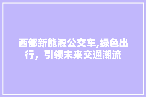 西部新能源公交车,绿色出行，引领未来交通潮流 新能源汽车