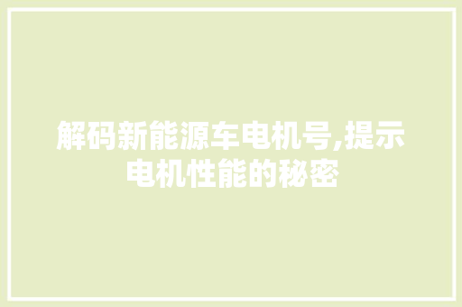 解码新能源车电机号,提示电机性能的秘密