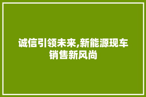 诚信引领未来,新能源现车销售新风尚 车身配件