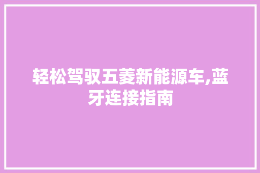 轻松驾驭五菱新能源车,蓝牙连接指南