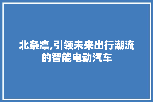 北条凛,引领未来出行潮流的智能电动汽车