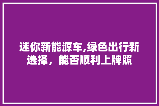 迷你新能源车,绿色出行新选择，能否顺利上牌照