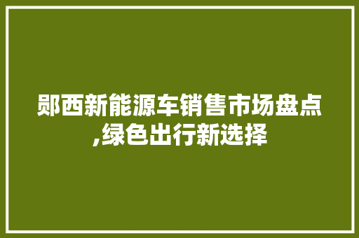 郧西新能源车销售市场盘点,绿色出行新选择