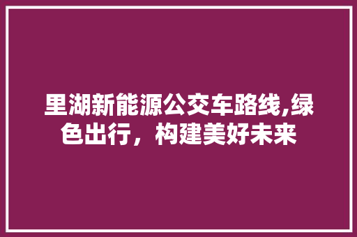 里湖新能源公交车路线,绿色出行，构建美好未来
