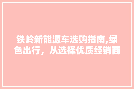 铁岭新能源车选购指南,绿色出行，从选择优质经销商开始 车身配件
