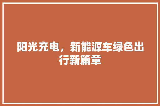 阳光充电，新能源车绿色出行新篇章 车灯配件