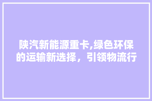 陕汽新能源重卡,绿色环保的运输新选择，引领物流行业迈向未来