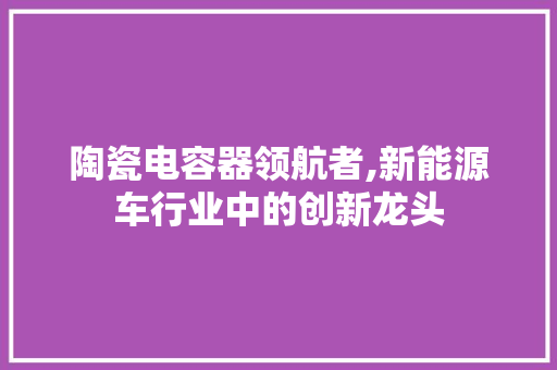 陶瓷电容器领航者,新能源车行业中的创新龙头