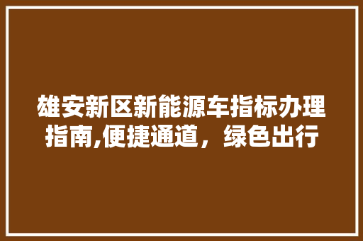 雄安新区新能源车指标办理指南,便捷通道，绿色出行