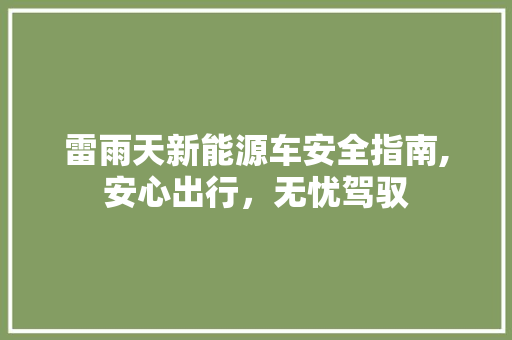 雷雨天新能源车安全指南,安心出行，无忧驾驭