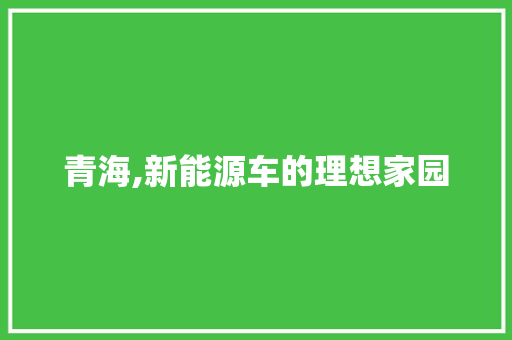 青海,新能源车的理想家园