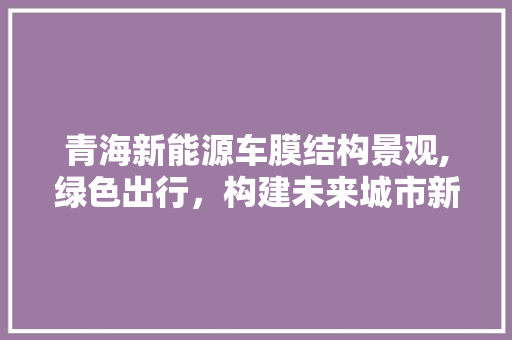青海新能源车膜结构景观,绿色出行，构建未来城市新地标 新能源汽车