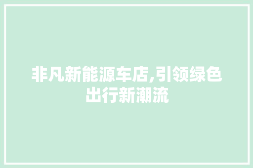 非凡新能源车店,引领绿色出行新潮流
