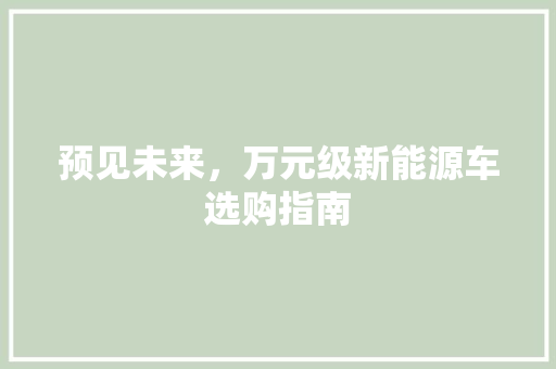 预见未来，万元级新能源车选购指南