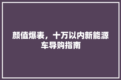 颜值爆表，十万以内新能源车导购指南 蓄电池配件
