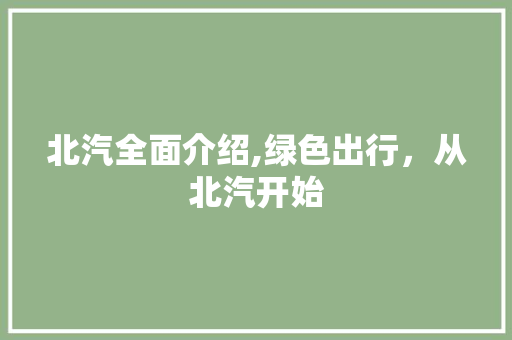 北汽全面介绍,绿色出行，从北汽开始