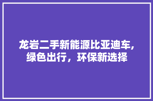 龙岩二手新能源比亚迪车,绿色出行，环保新选择