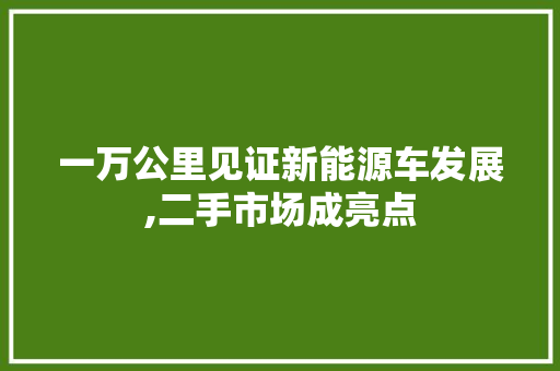 一万公里见证新能源车发展,二手市场成亮点 变速箱配件