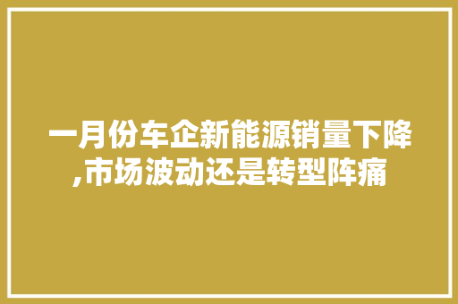 一月份车企新能源销量下降,市场波动还是转型阵痛 变速箱配件