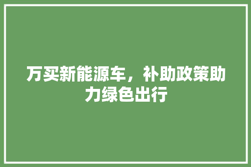 万买新能源车，补助政策助力绿色出行
