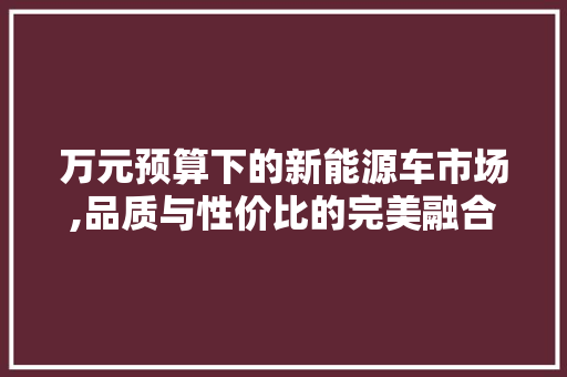 万元预算下的新能源车市场,品质与性价比的完美融合