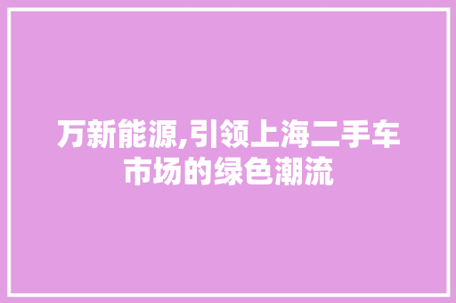 万新能源,引领上海二手车市场的绿色潮流