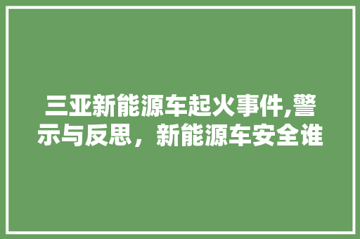 三亚新能源车起火事件,警示与反思，新能源车安全谁来守护 发动机配件