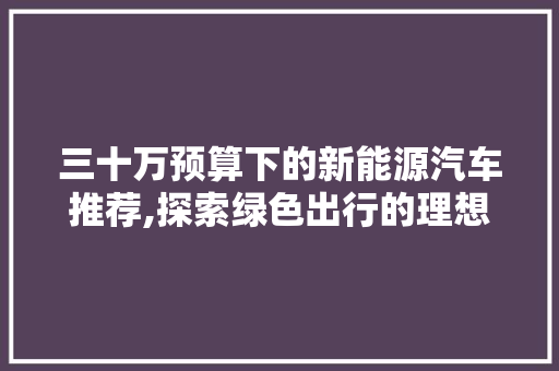 三十万预算下的新能源汽车推荐,探索绿色出行的理想选择