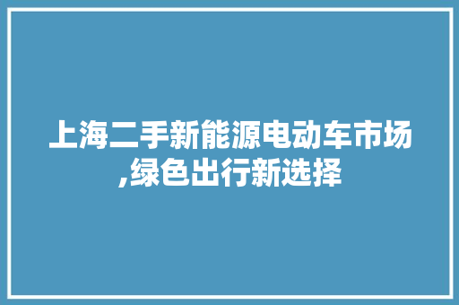 上海二手新能源电动车市场,绿色出行新选择