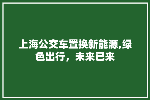 上海公交车置换新能源,绿色出行，未来已来 新款车型